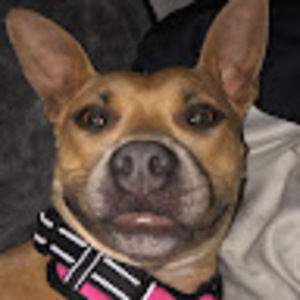 Meet your Posher, Chloe